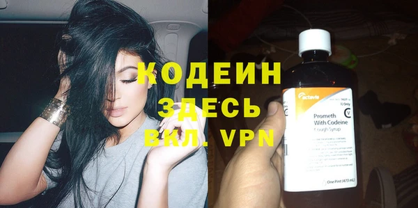 дурь Богородицк