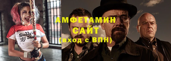 метадон Богданович