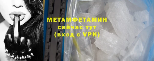 метадон Богданович