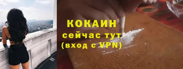 метадон Богданович