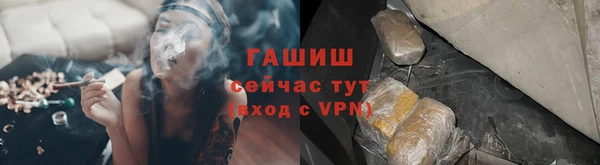метадон Богданович