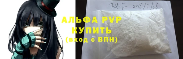 метадон Богданович