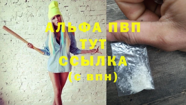 соль ск Богородск