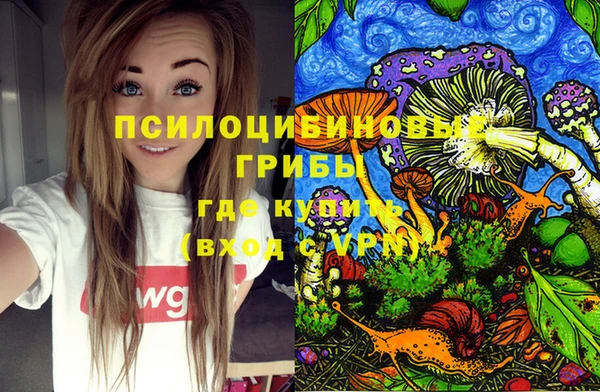 дурь Богородицк