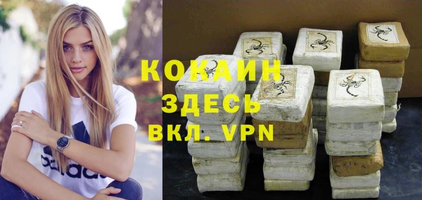 метадон Богданович